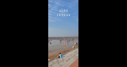 海邊尋寶，劉家灣趕海園—泰安金輝國旅